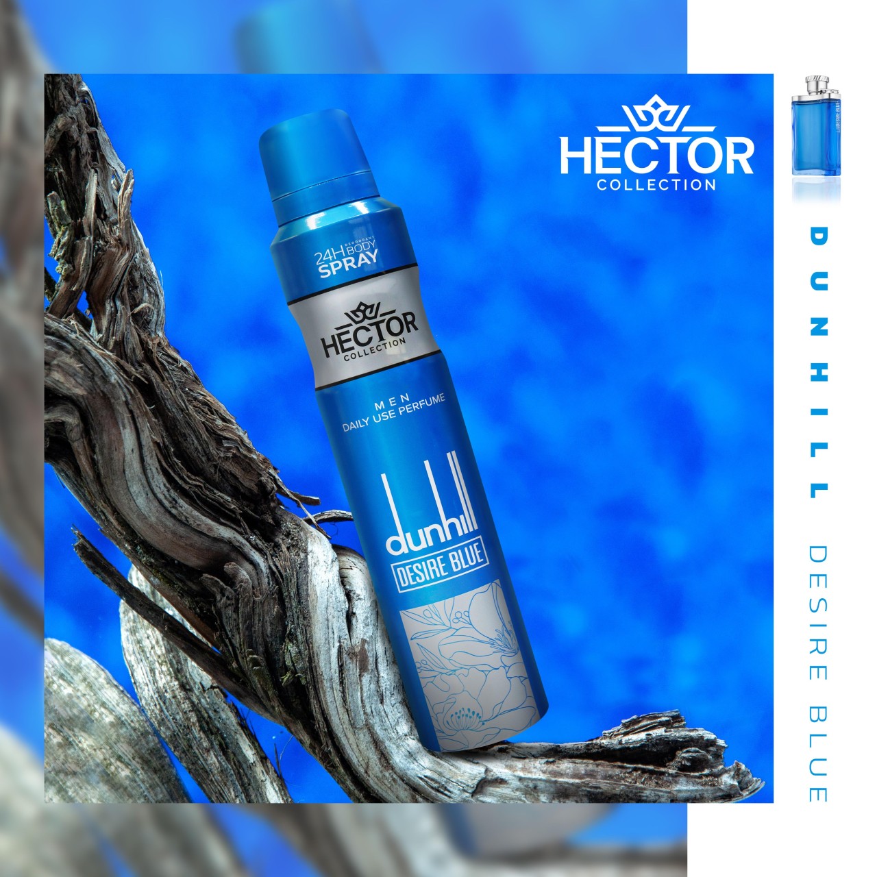 دانهیل کاتالوگ